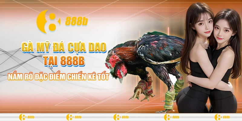 Gà Mỹ Đá Cựa Dao Tại 888B Và Sự Thật Thu Hút Người Chơi 3 Nắm rõ đặc điểm chiến kê tốt