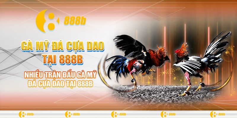 Gà Mỹ Đá Cựa Dao Tại 888B Và Sự Thật Thu Hút Người Chơi 1 Nhiều trận đấu gà Mỹ đá cựa dao tại 888B