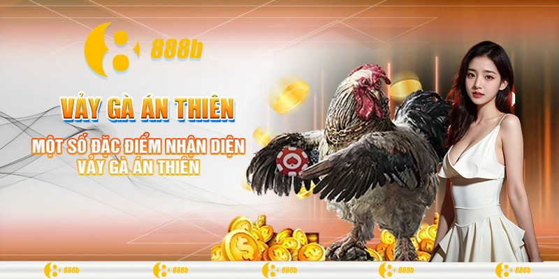 Vảy Gà Án Thiên - Giống Kê Tốt Nhất Để Chinh Chiến Tại 888B 1 Một số đặc điểm nhận diện vảy gà Án Thiên