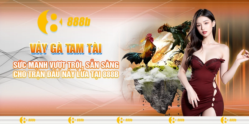 Vảy Gà Tam Tài: Bí Ẩn Và Sức Mạnh Trong Đá Gà Tại 888B 4 Sức mạnh vượt trội, sẵn sàng cho trận đấu nảy lửa tại 888B